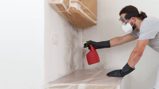 Professional Attic Mold Remediation technician working in Carrboro, NC