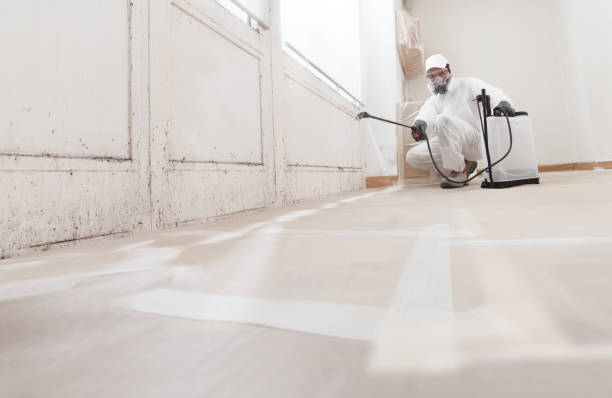 24/7 Emergency Attic Mold Remediation experts in Carrboro, NC
